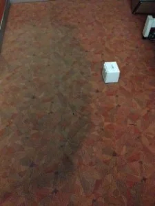 Before and After using the Rotovac