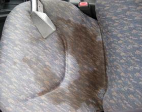 Upholstery Cleaning