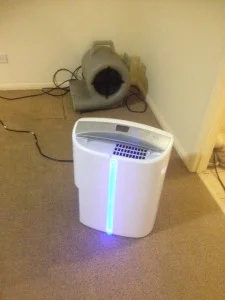 Water Damage Carpet Cleaning