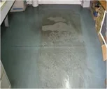 Tile and Grout Cleaning