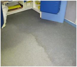 Water Damage Carpet Cleaning